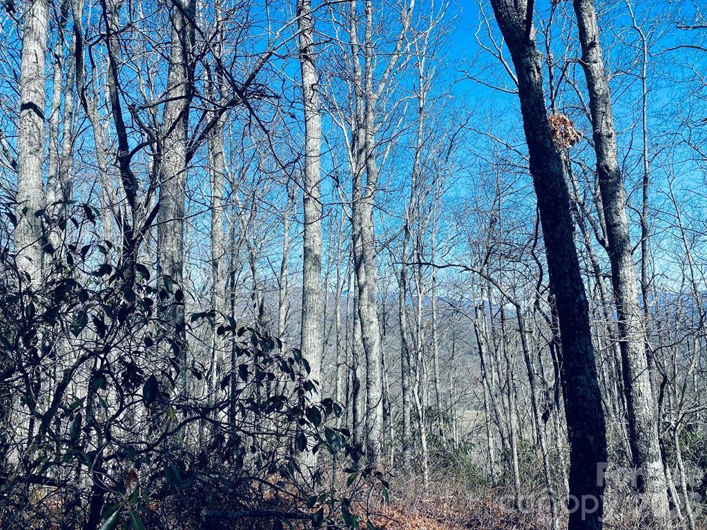 Lot 26 Red Hawk Bluff Property Photo 19