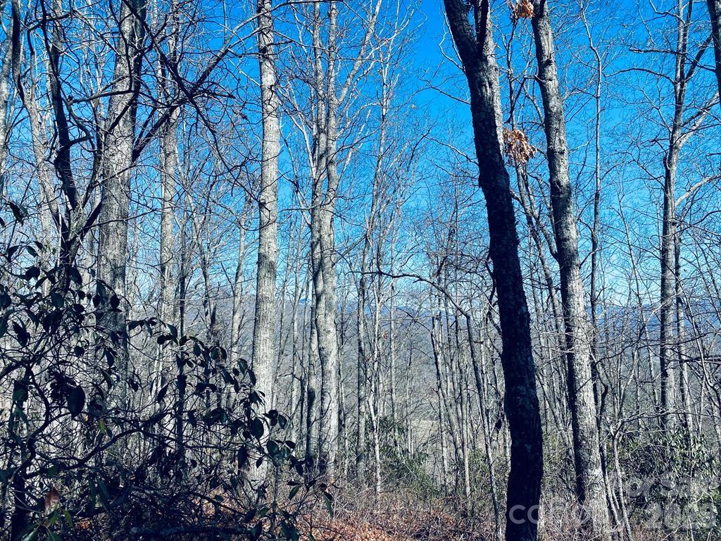 Lot 26 Red Hawk Bluff Property Photo 20