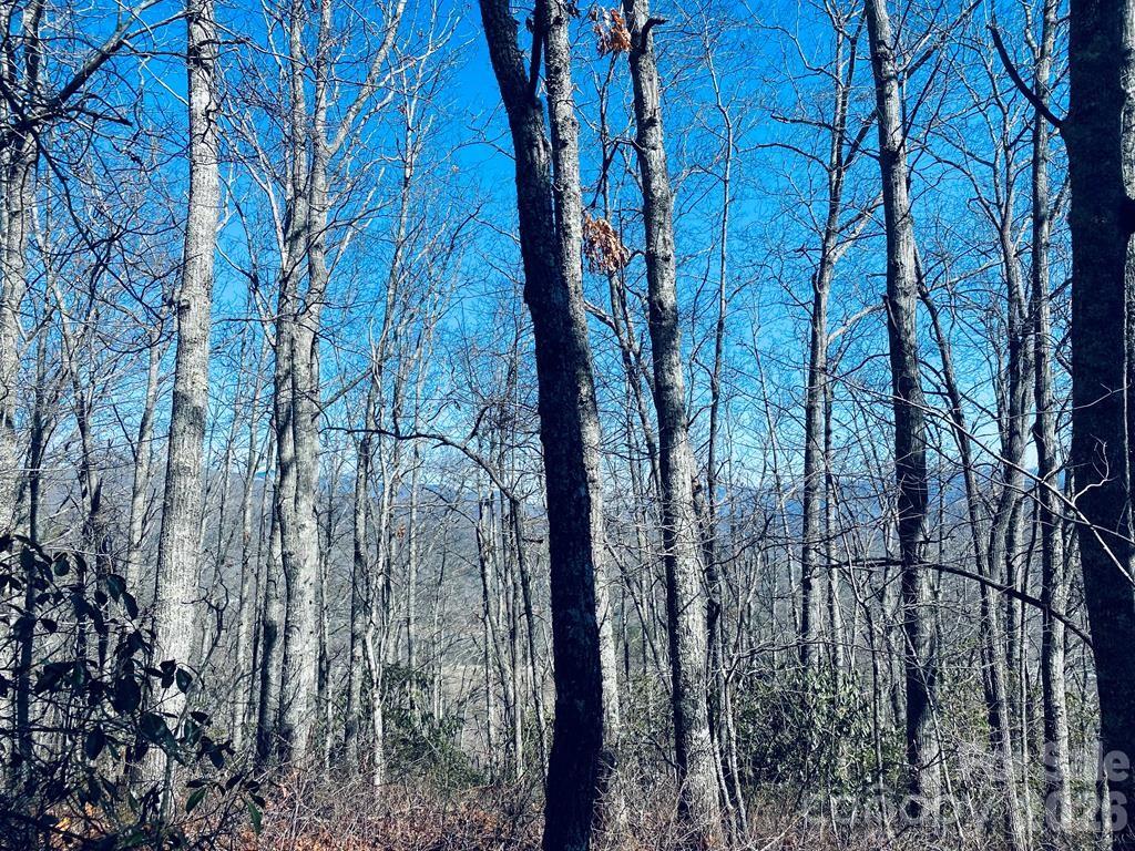 Lot 26 Red Hawk Bluff Property Photo 21