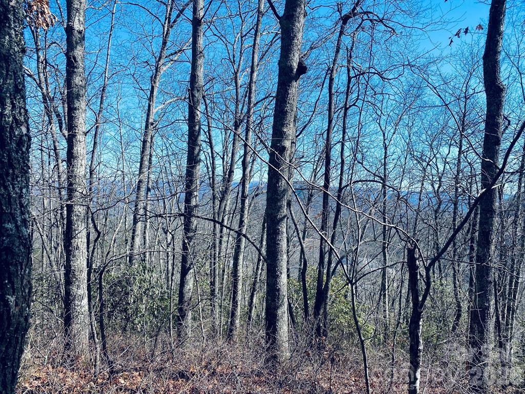Lot 26 Red Hawk Bluff Property Photo 22