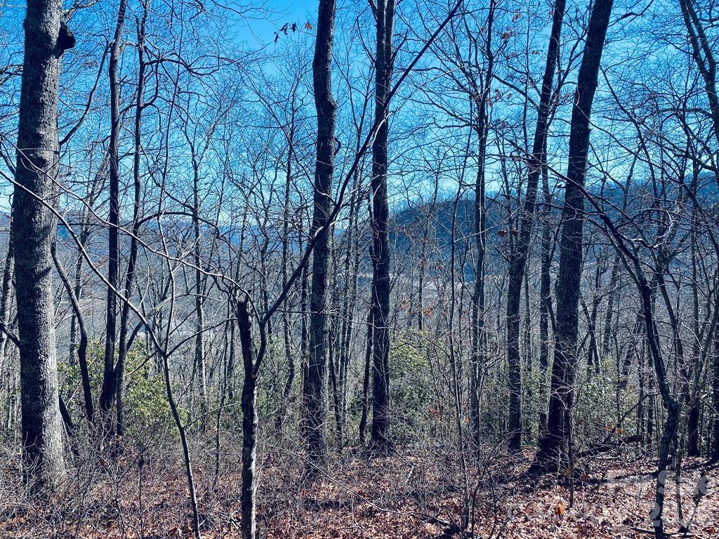 Lot 26 Red Hawk Bluff Property Photo 23