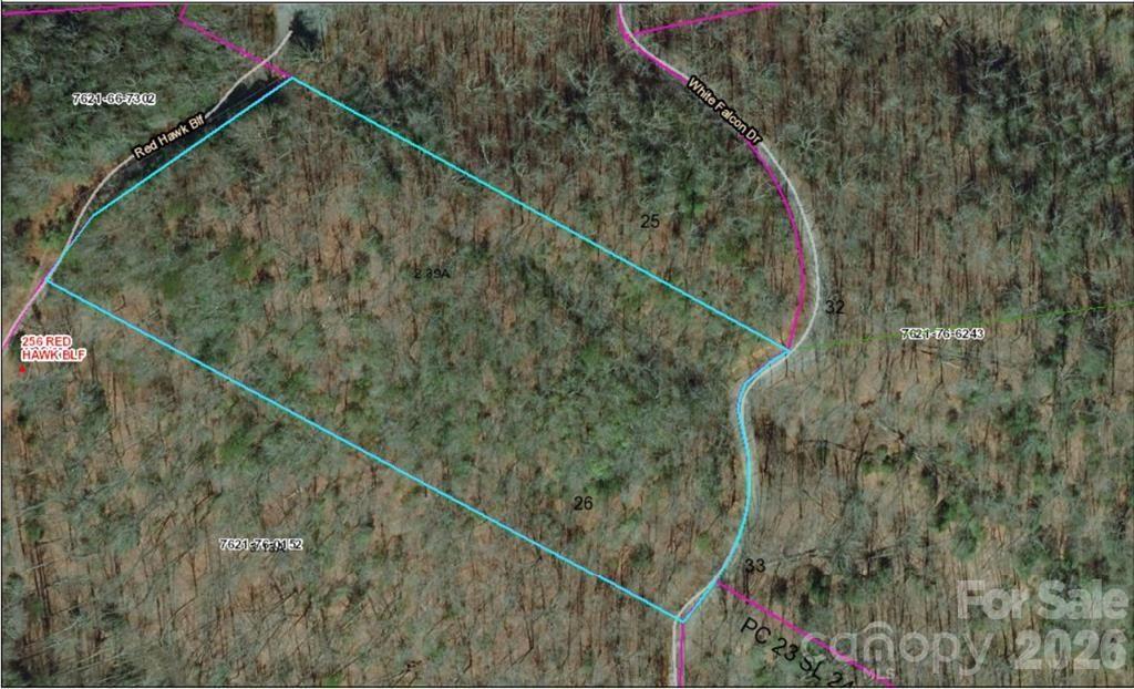Lot 26 Red Hawk Bluff Property Photo 24