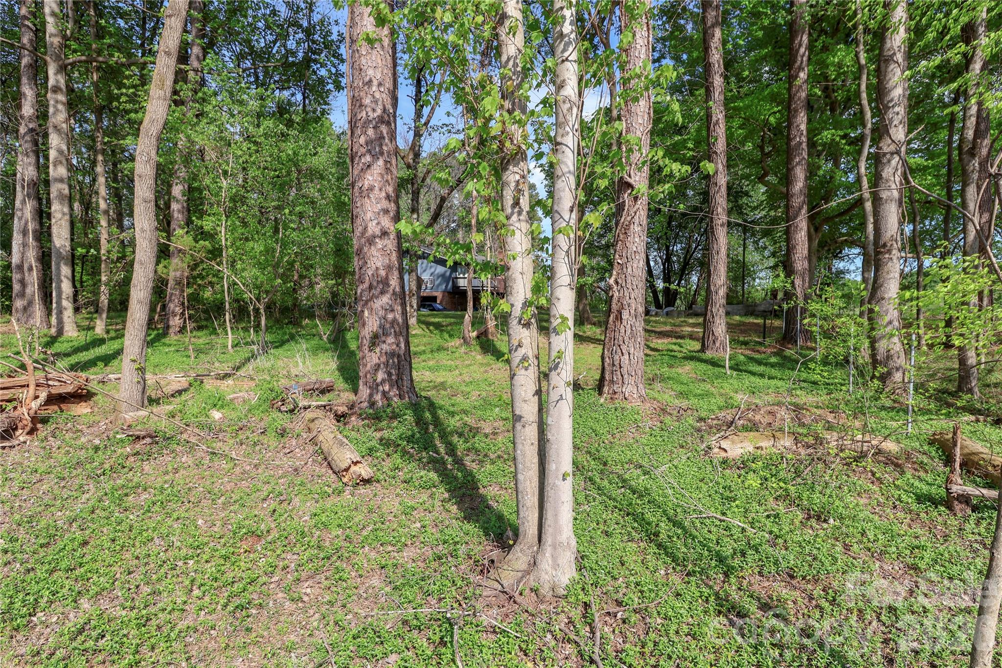 225 Midway Road Property Photo 31