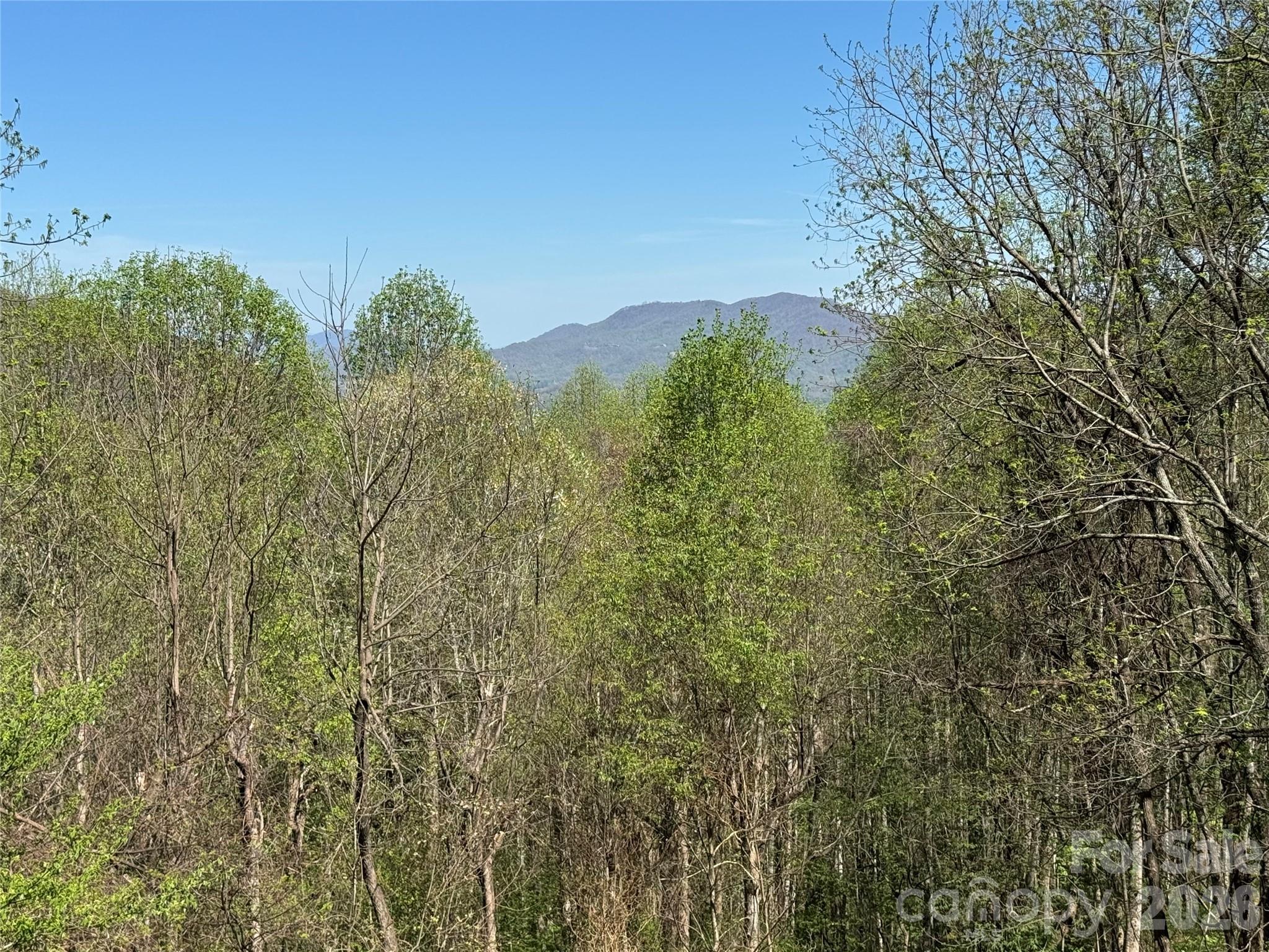 1618 Walnut Creek Road Property Photo 26