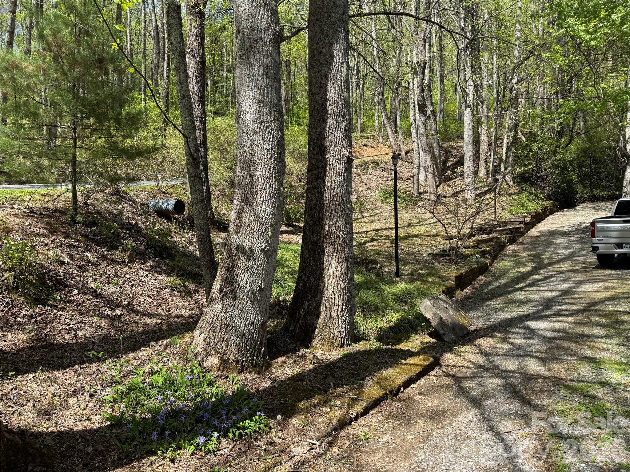 1618 Walnut Creek Road Property Photo 37