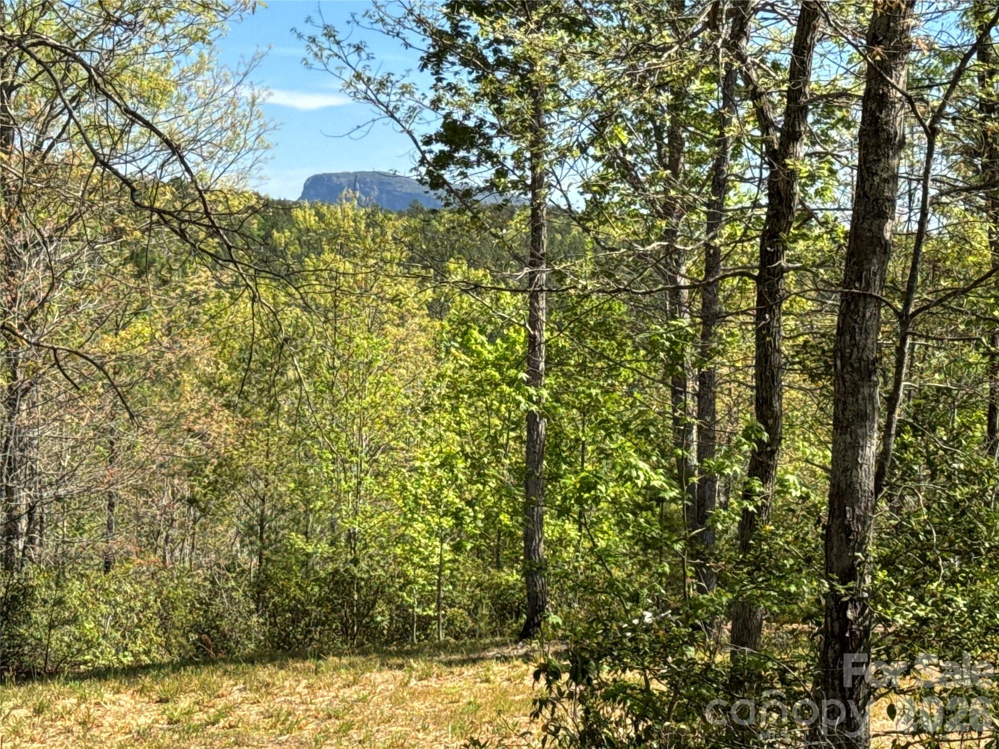 284 Bear Cliff Circle Property Photo 1