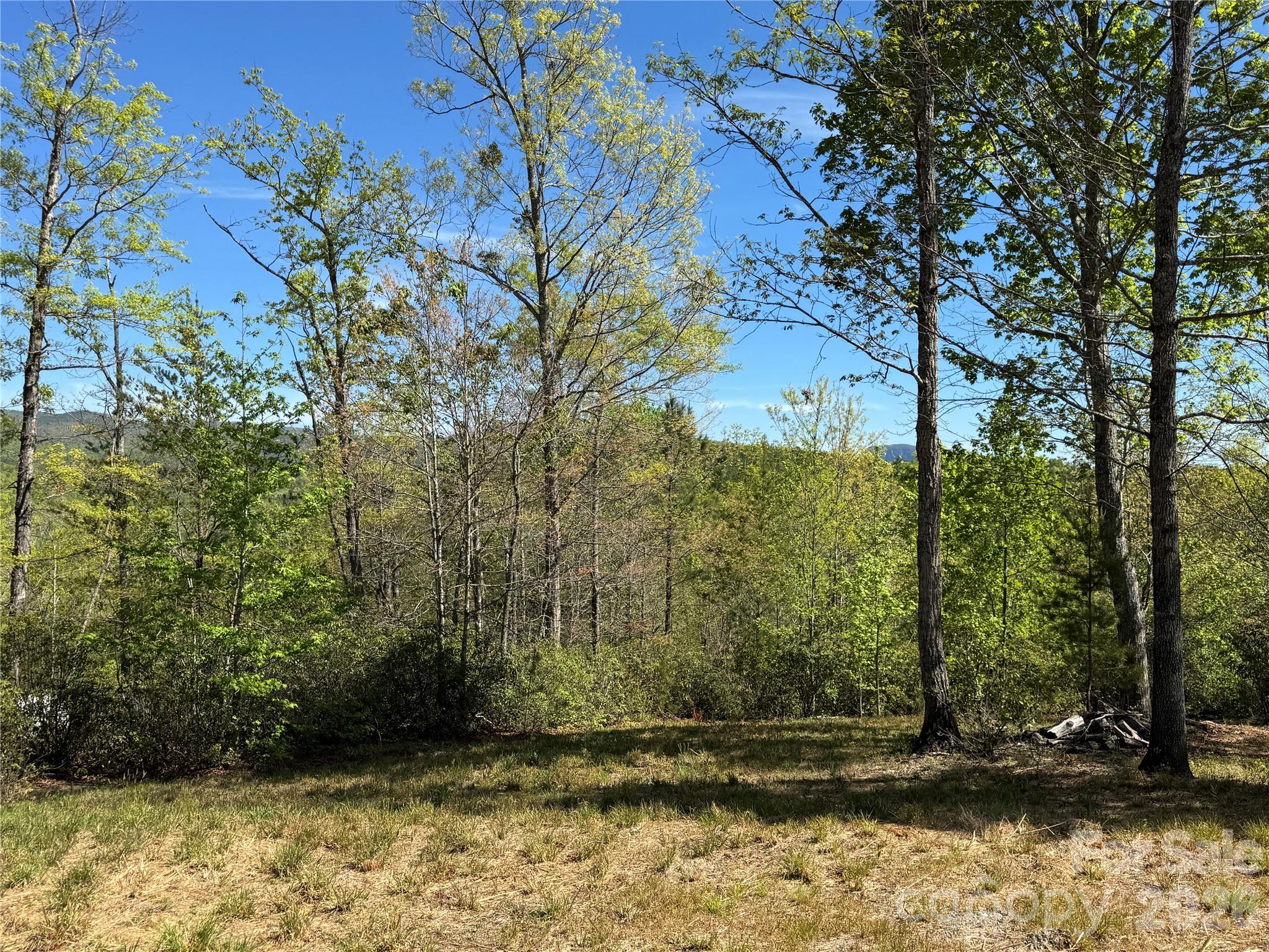284 Bear Cliff Circle Property Photo 2
