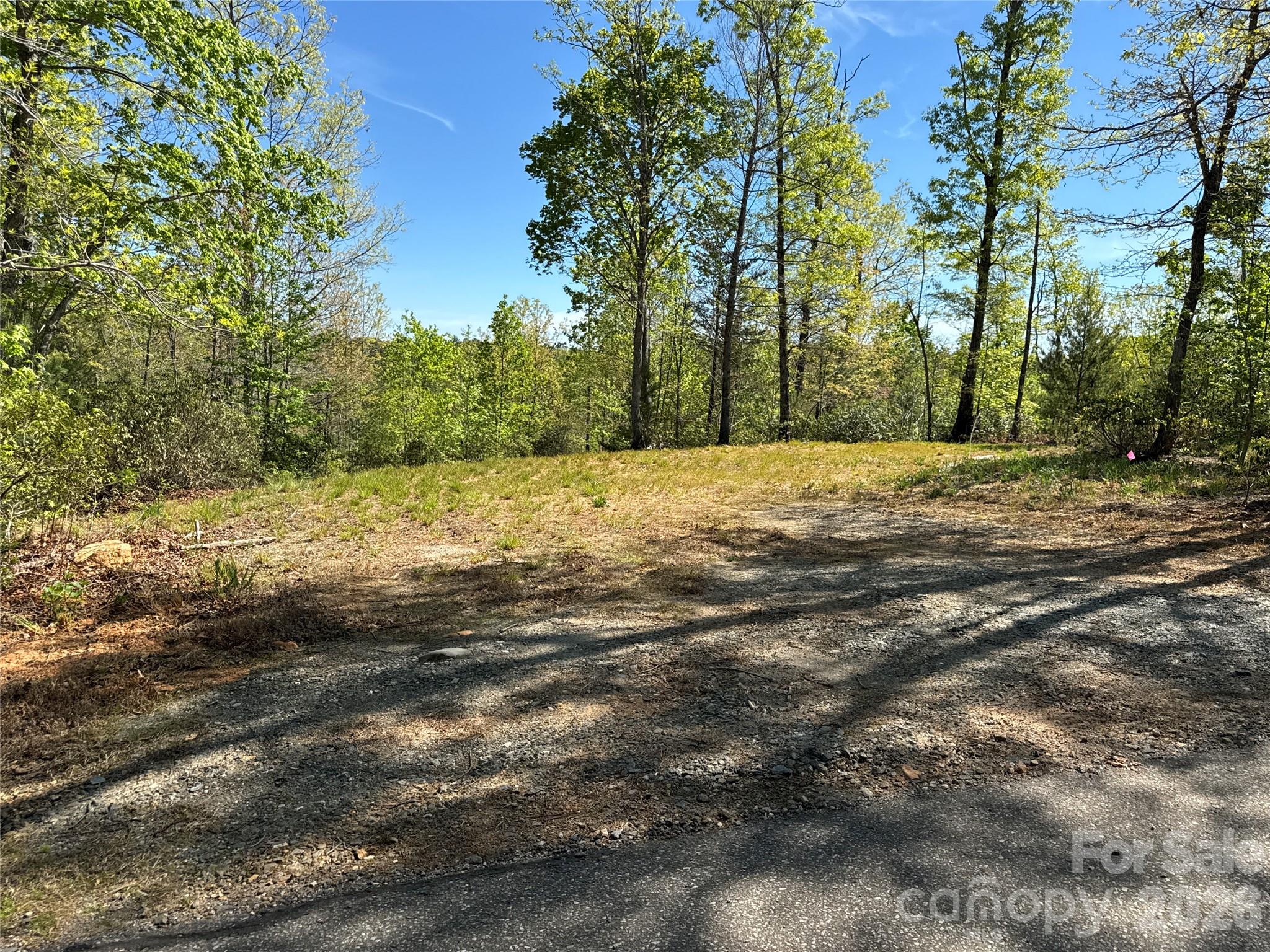 284 Bear Cliff Circle Property Photo 3