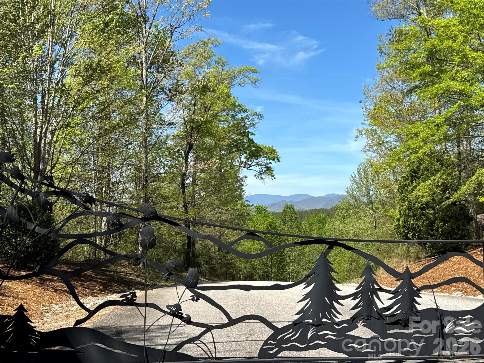 284 Bear Cliff Circle Property Photo 4