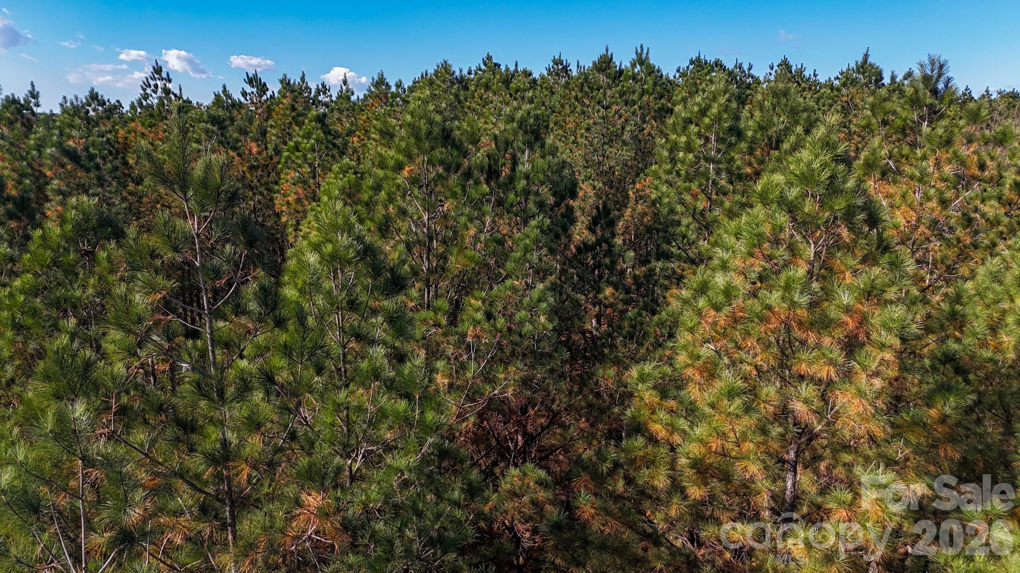 00 Whispering Pines Lane 63 & 67 Property Photo 14