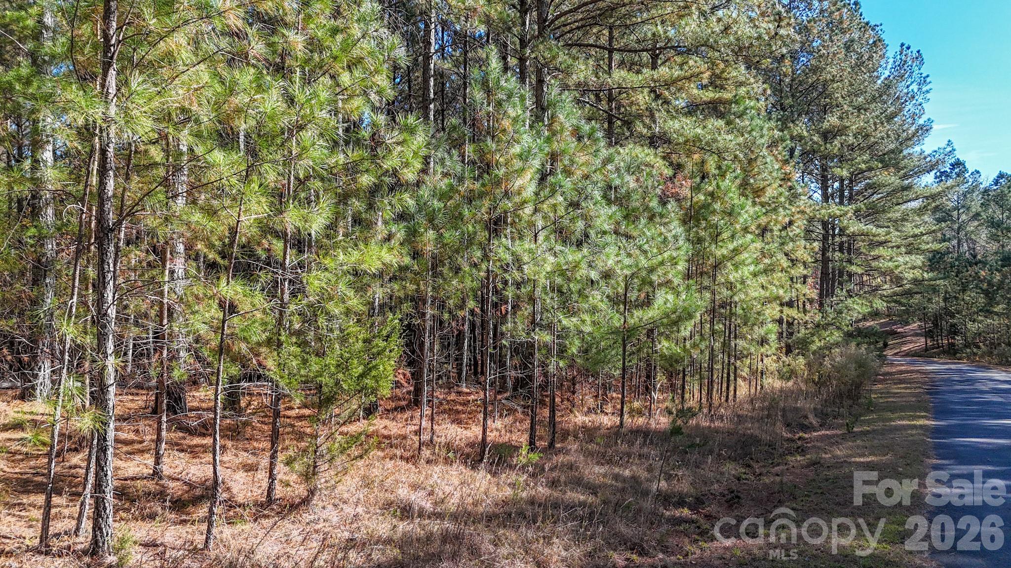 00 Whispering Pines Lane 63 & 67 Property Photo 16