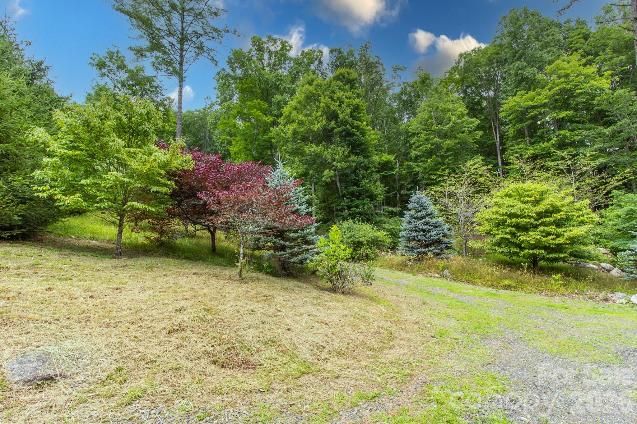 2811 Poplar Creek Road Property Photo 34