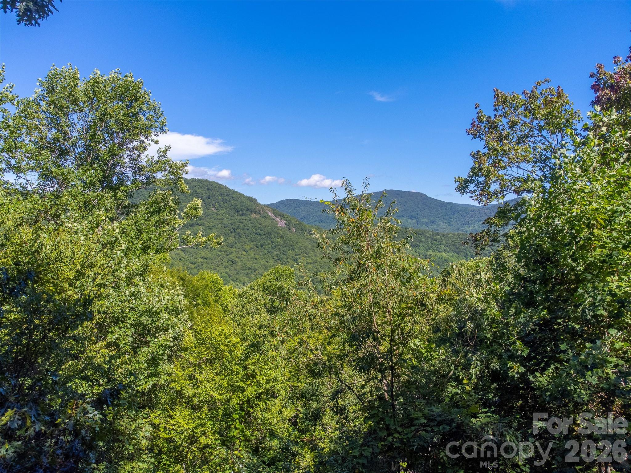 1838 Coman Road Property Photo 4
