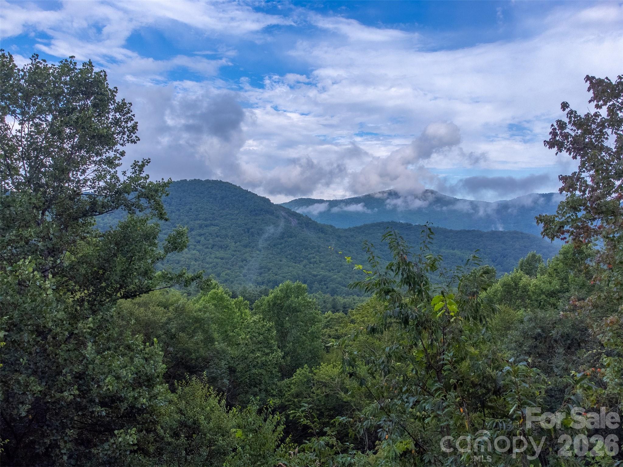 1838 Coman Road Property Photo 11
