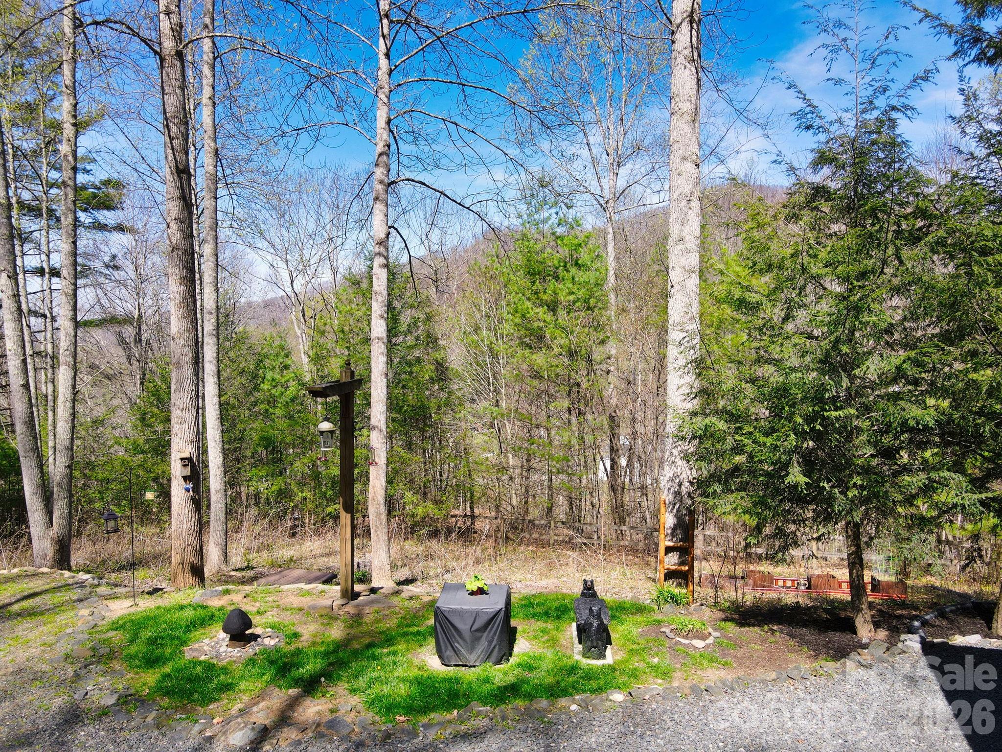 307 Dancing Leaf Lane Property Photo 2