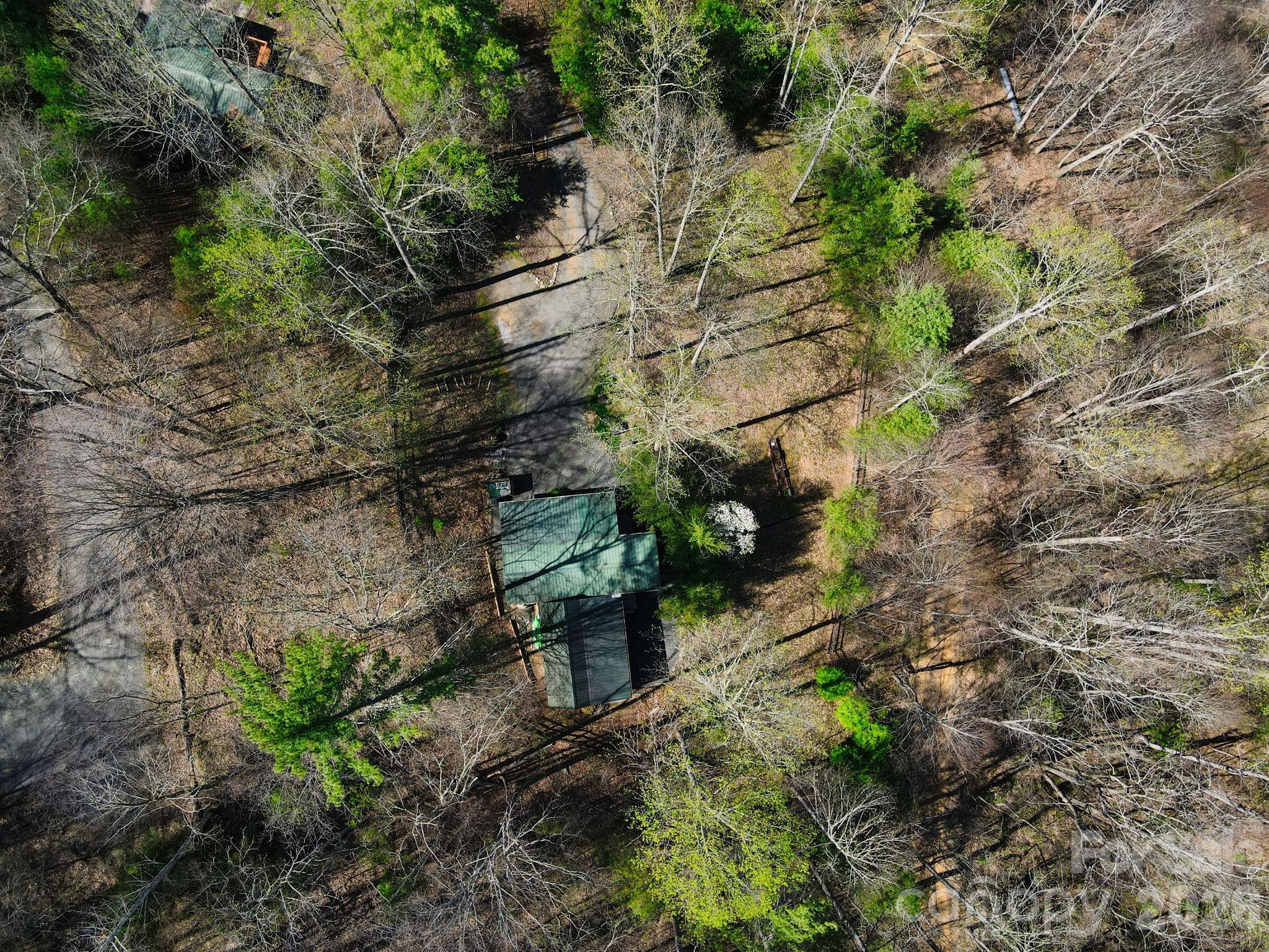 307 Dancing Leaf Lane Property Photo 23