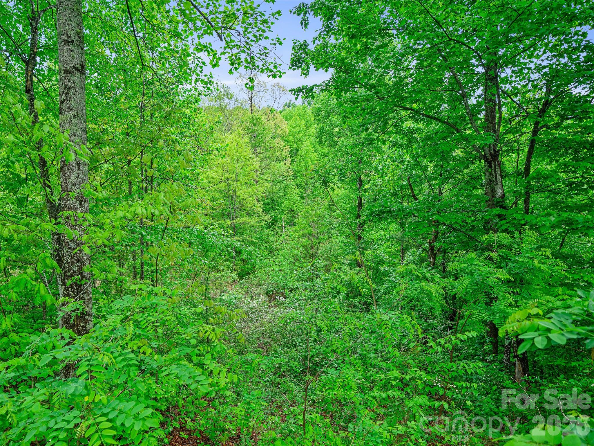 2380 Old Fort Road Property Photo 5