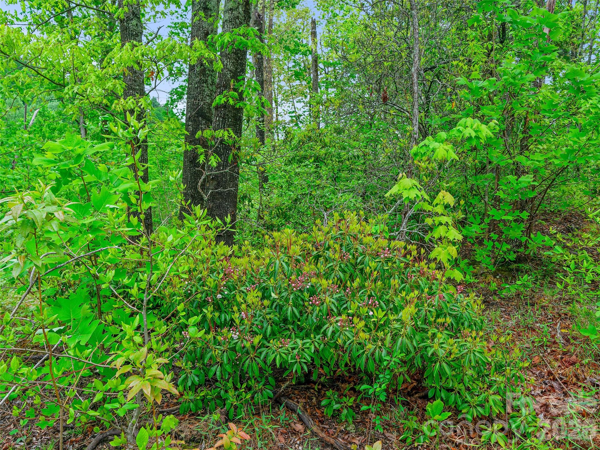 2380 Old Fort Road Property Photo 22