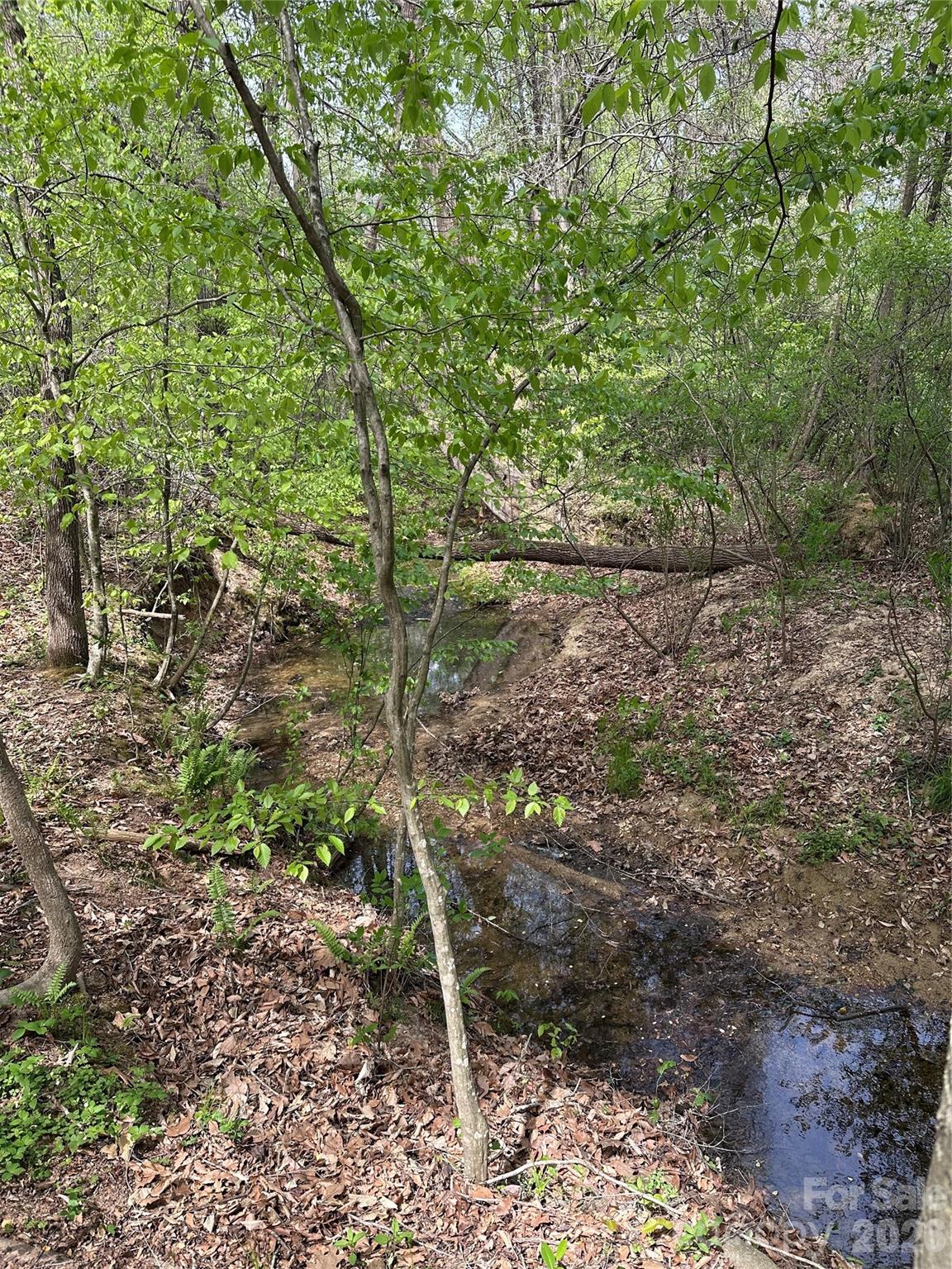 0 Will Boone Road Property Photo 1