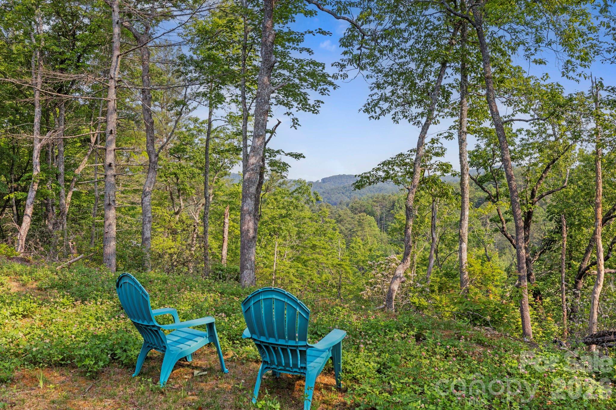 251 Paul Mccoy Road Property Photo 2