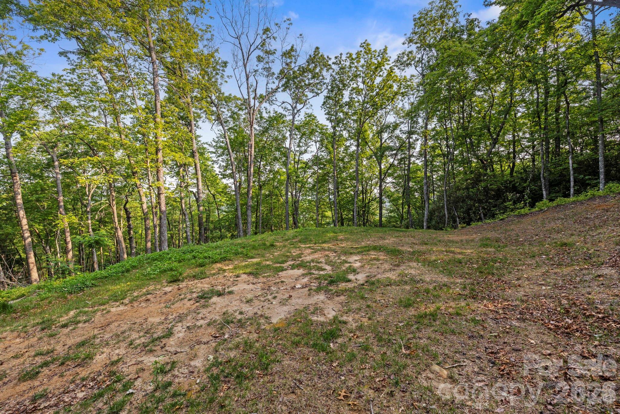 251 Paul Mccoy Road Property Photo 3
