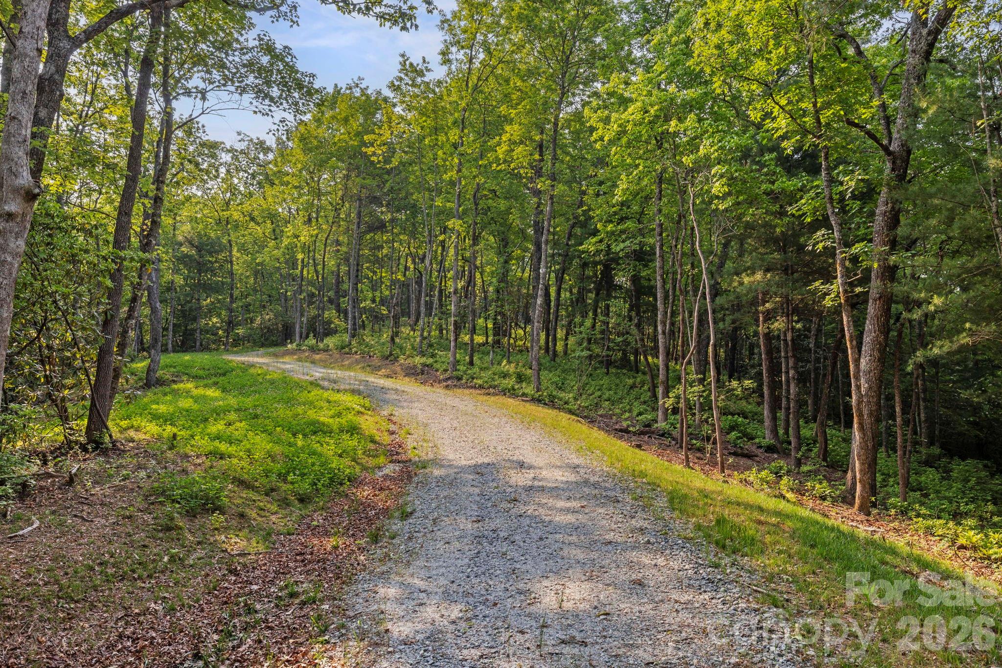 251 Paul Mccoy Road Property Photo 8