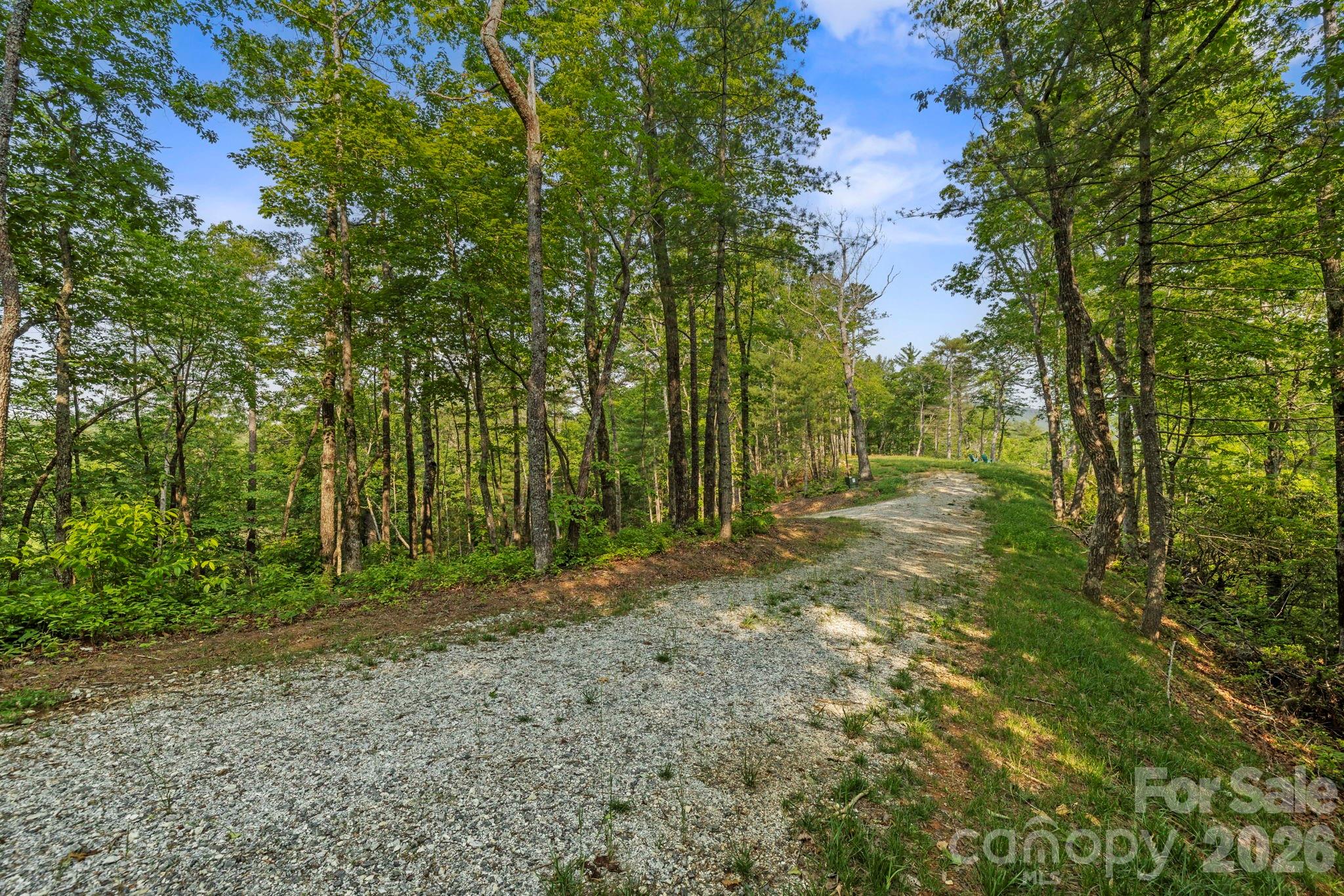 251 Paul Mccoy Road Property Photo 9