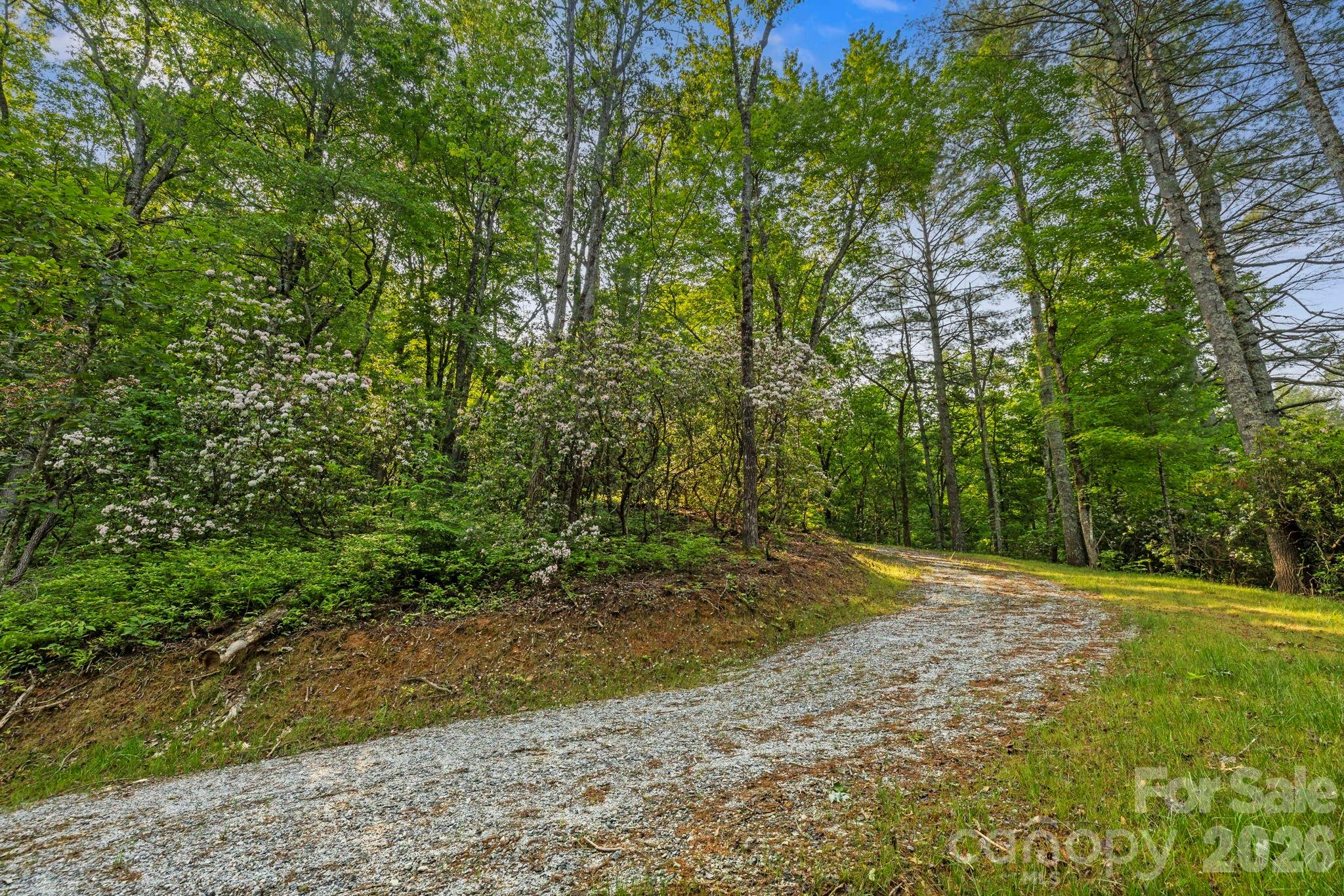 251 Paul Mccoy Road Property Photo 10