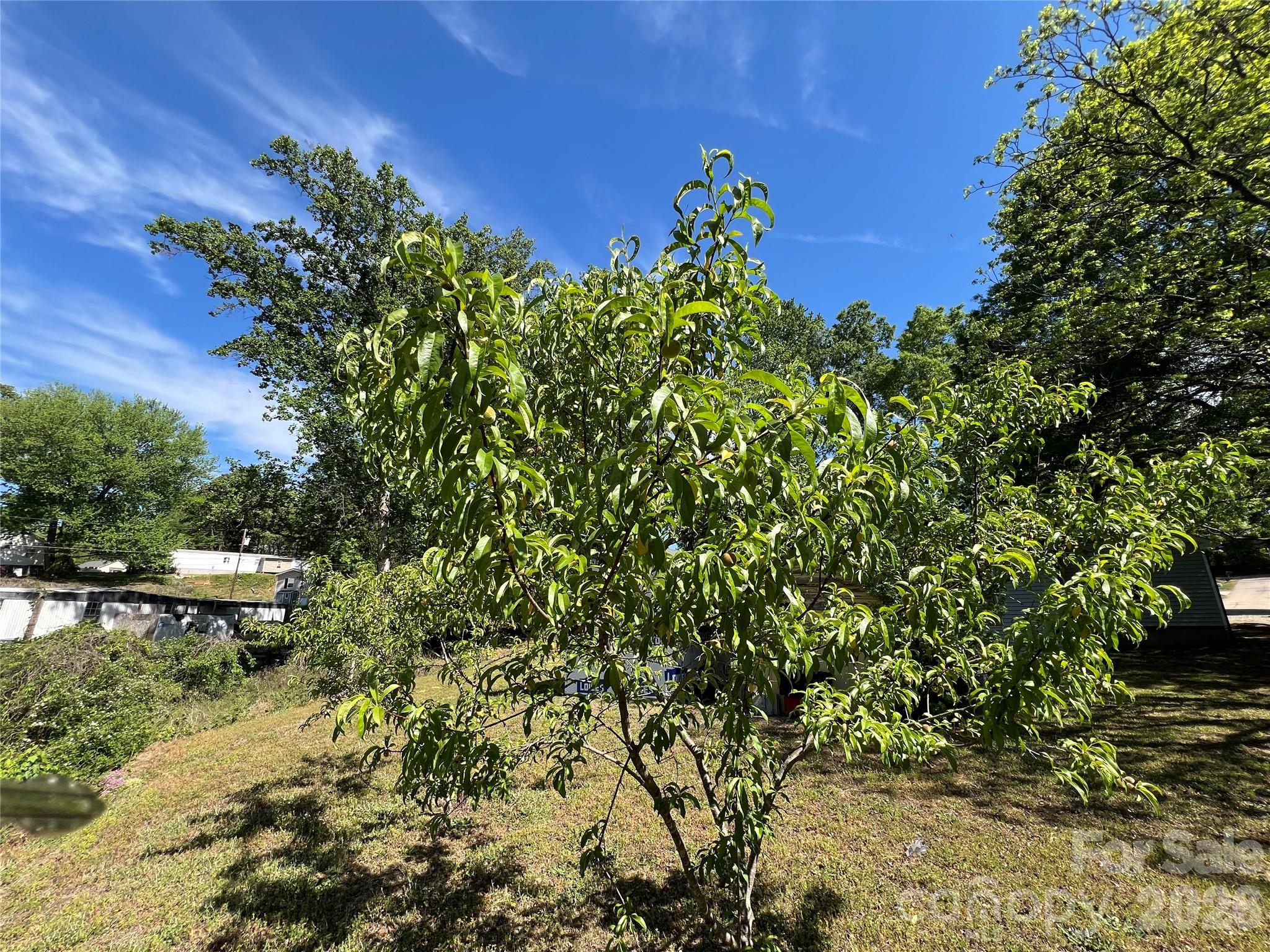 511 Murphy Street Property Photo 11