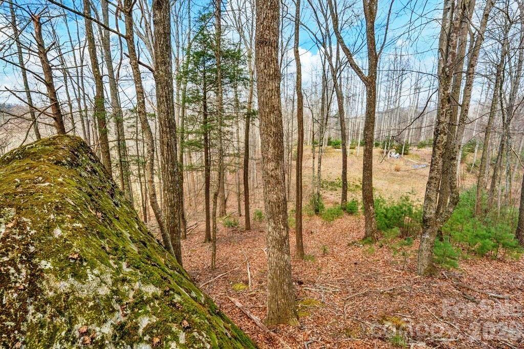 Tbd Denney Wood Road Property Photo 1