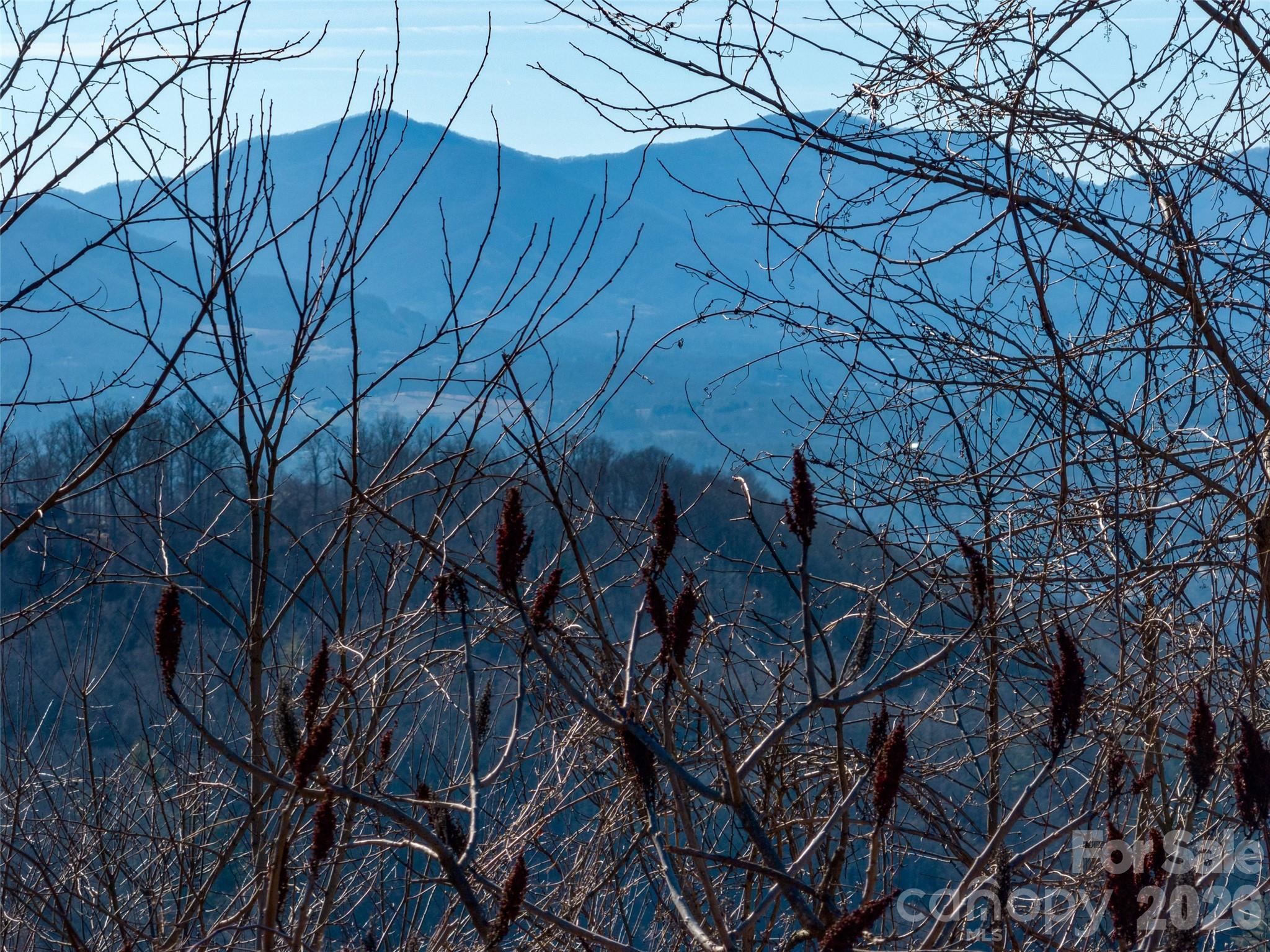 5 Soaring Hawk View 14 Property Photo 35