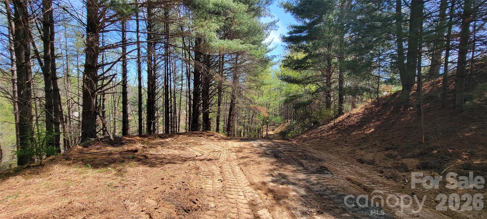 Tbd (lots 25/26/27) Miriam Way Property Photo 6