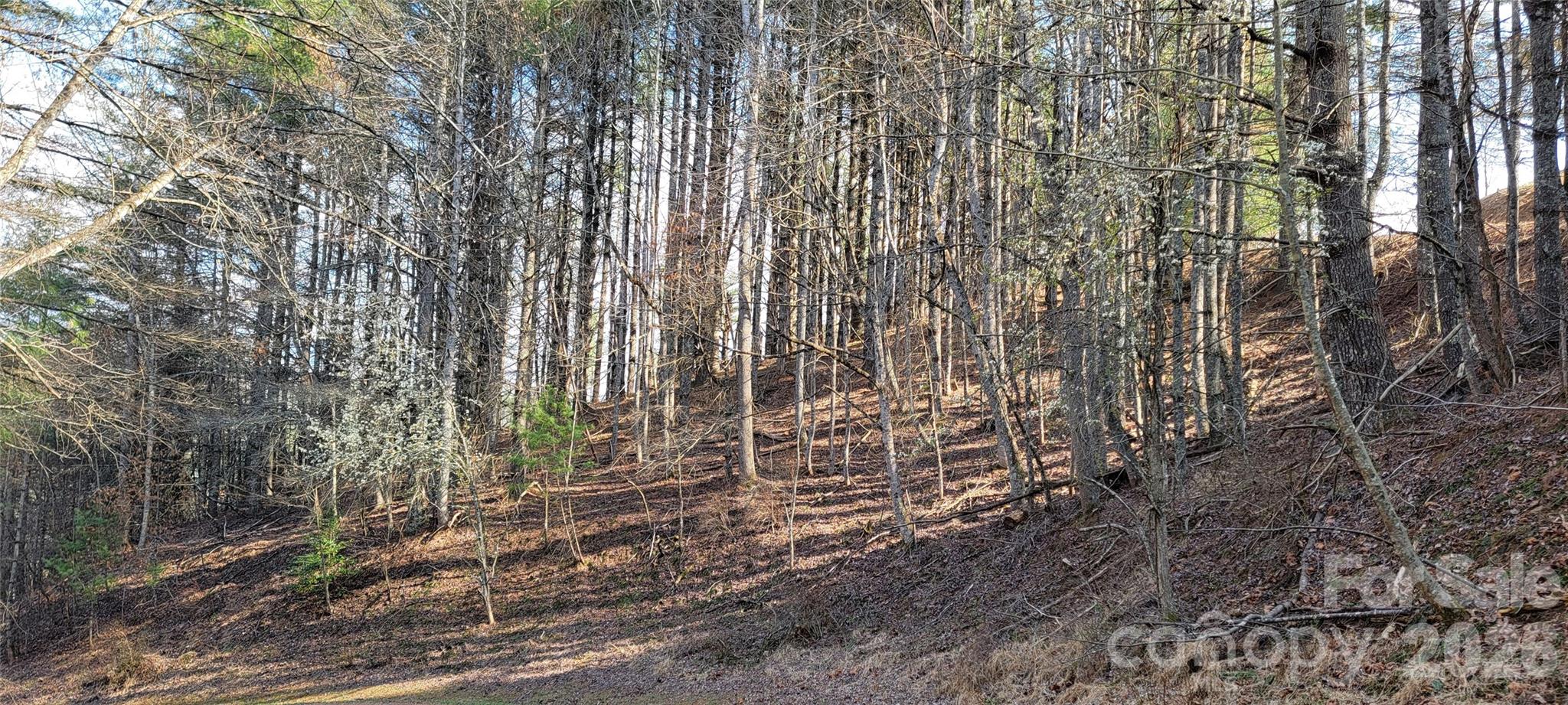 Tbd (lots 25/26/27) Miriam Way Property Photo 15