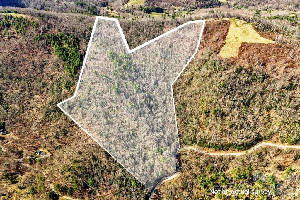 Tbd Rominger Road Property Photo 2