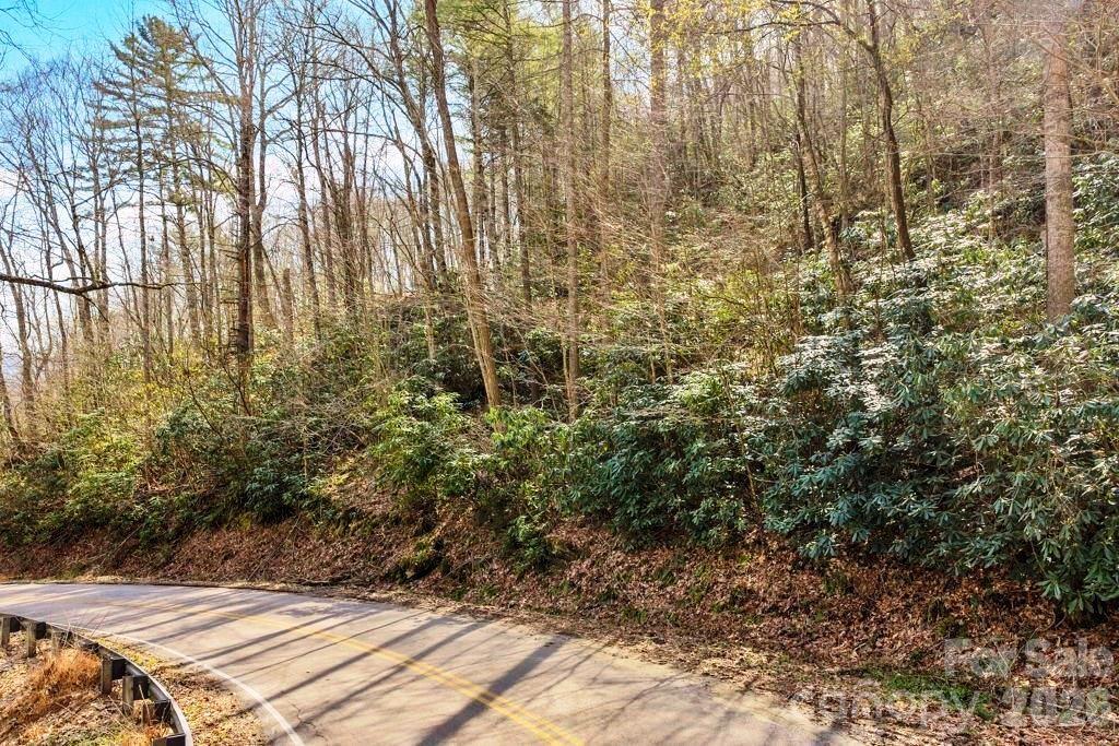 Tbd Rominger Road Property Photo 3