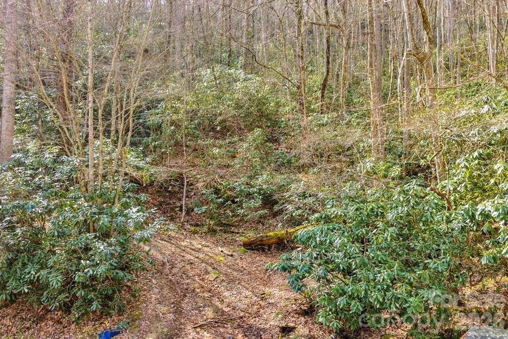 Tbd Rominger Road Property Photo 5