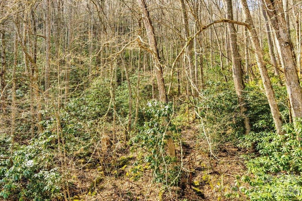 Tbd Rominger Road Property Photo 6