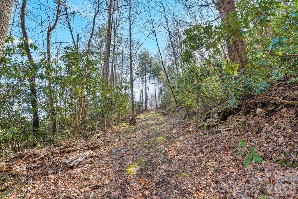 Tbd Rominger Road Property Photo 8