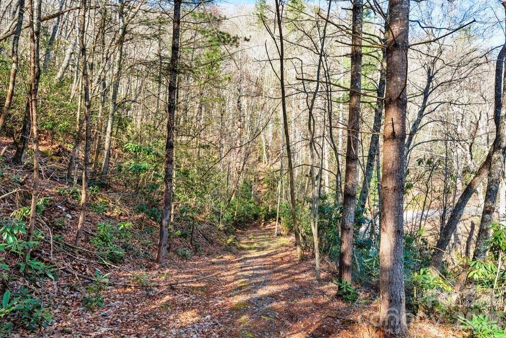 Tbd Rominger Road Property Photo 9