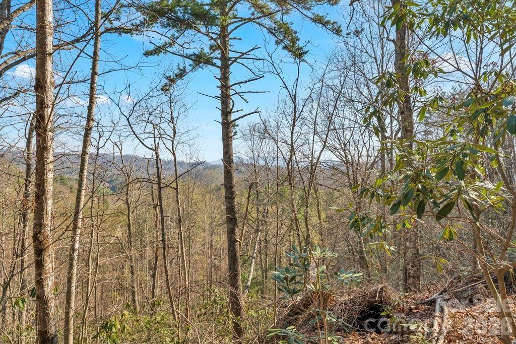 Tbd Rominger Road Property Photo 10