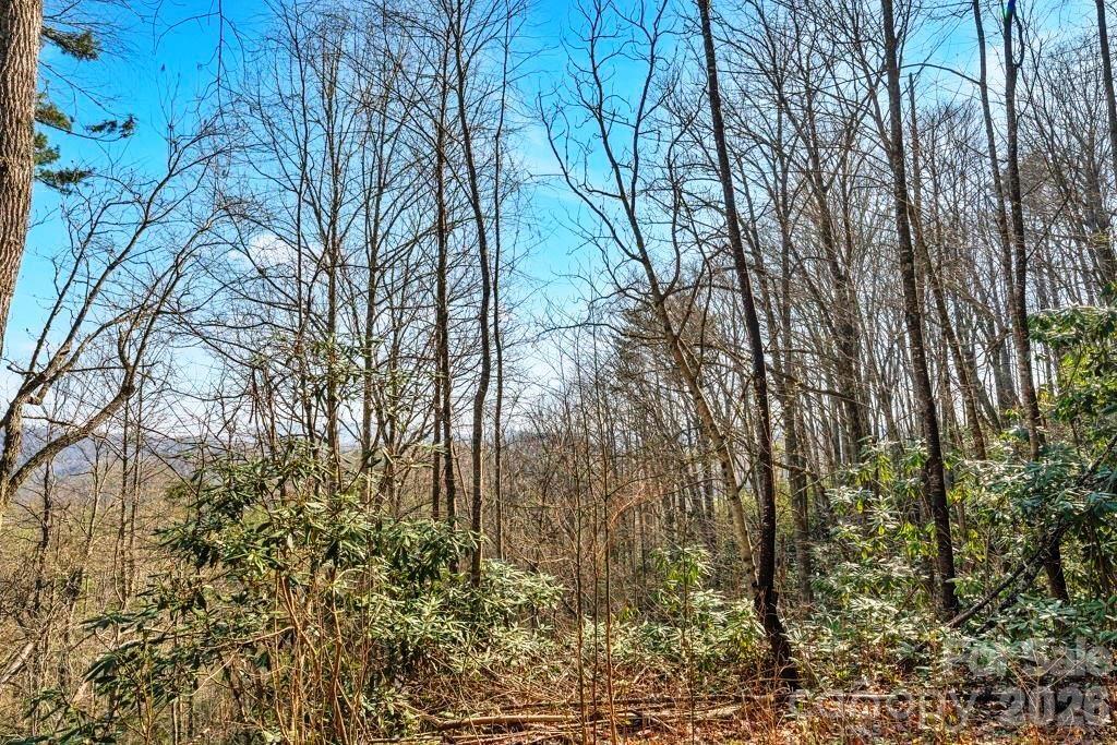 Tbd Rominger Road Property Photo 11