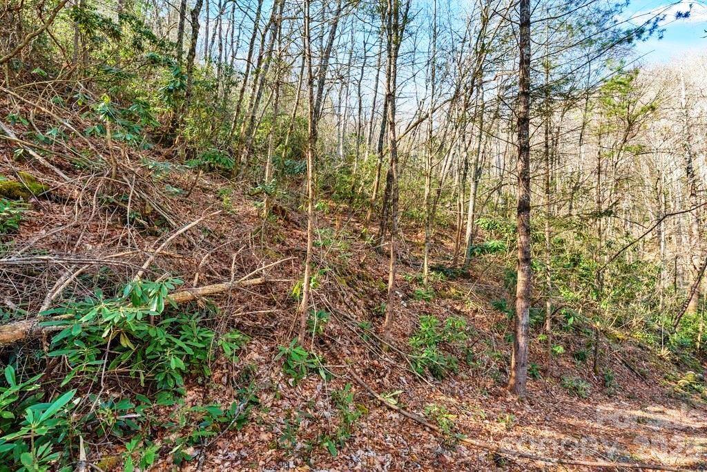 Tbd Rominger Road Property Photo 12