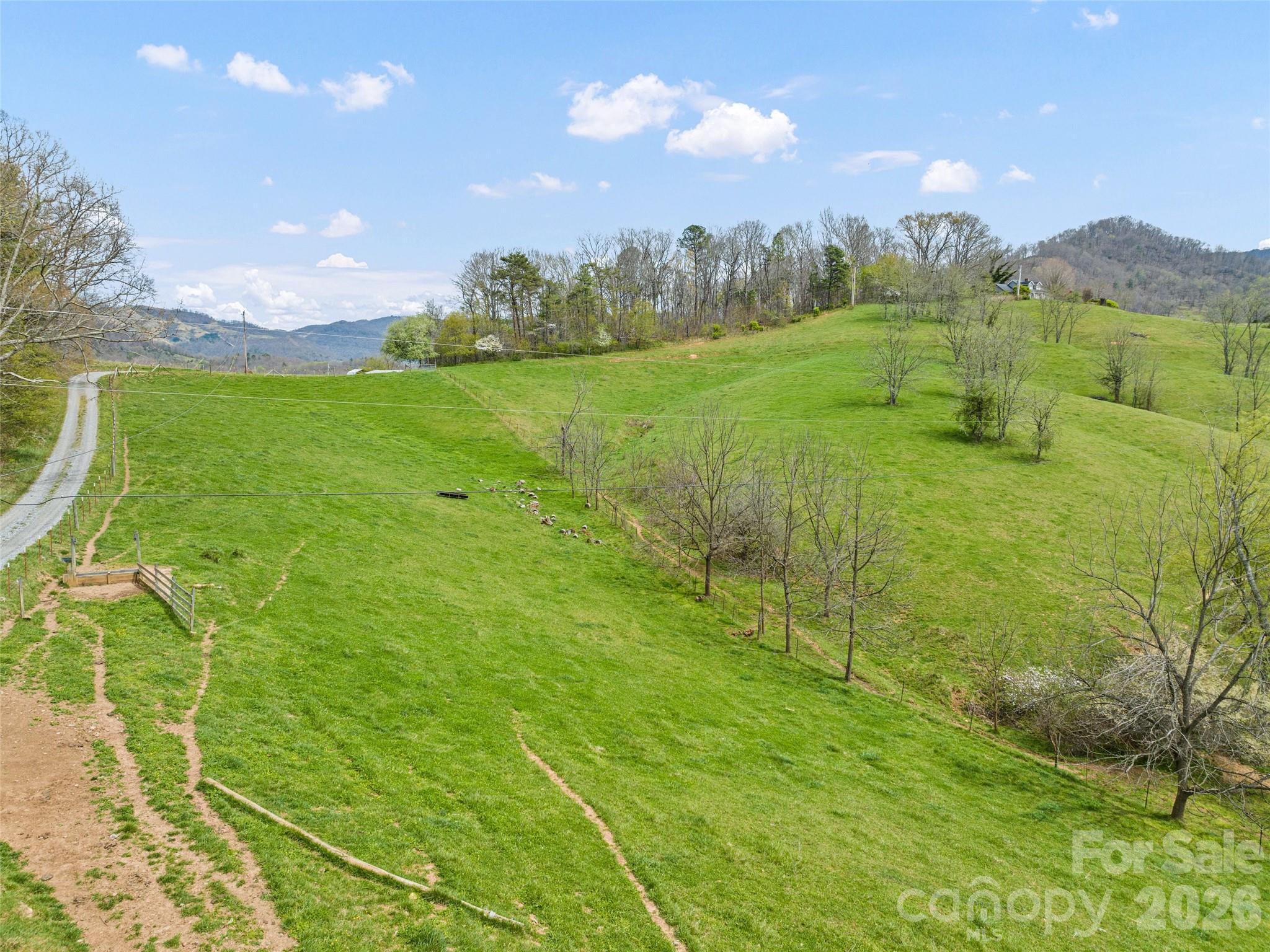 80 Gobblers Knob Drive Property Photo 47