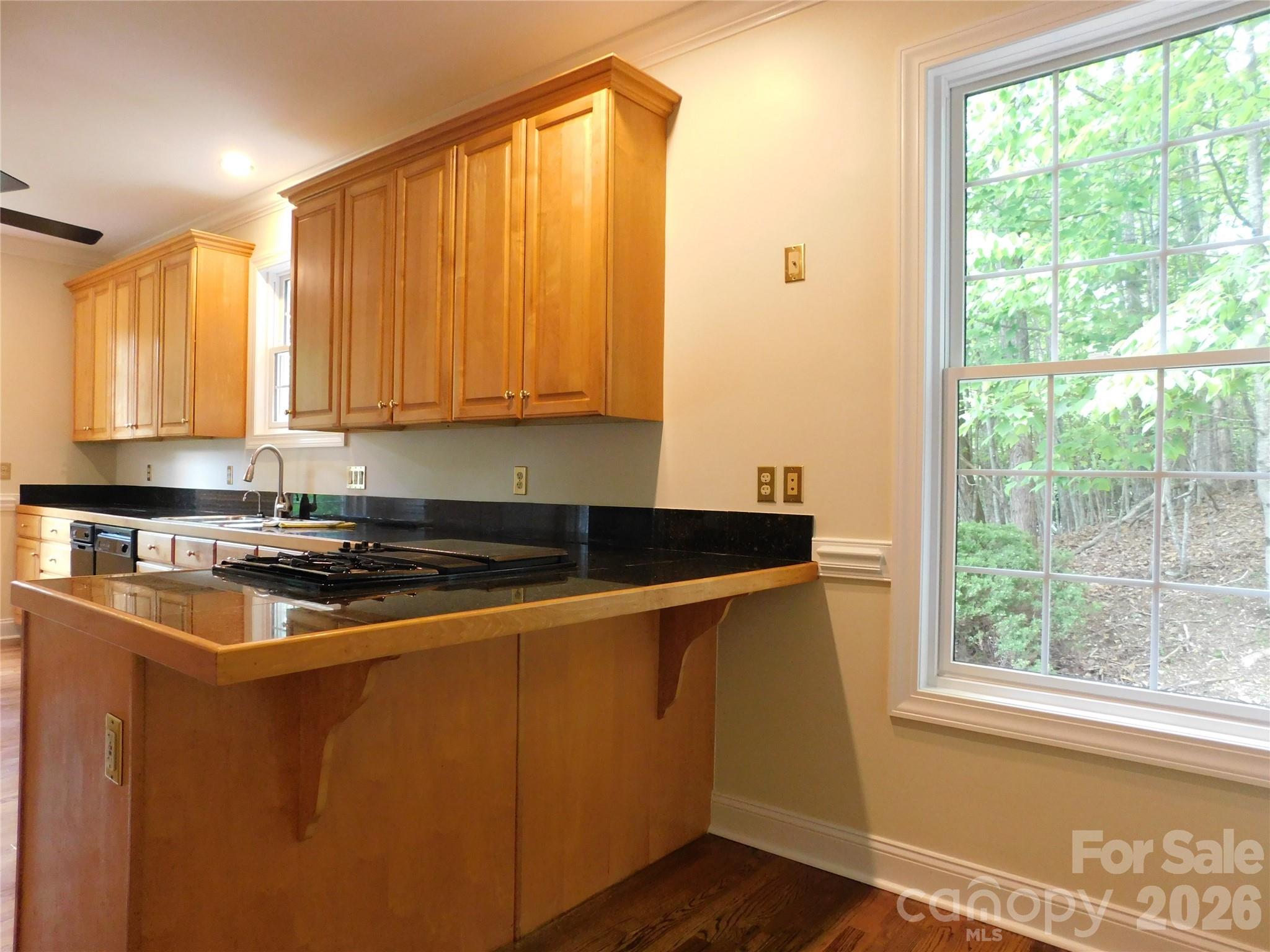 1064 Skye Drive Property Photo 11