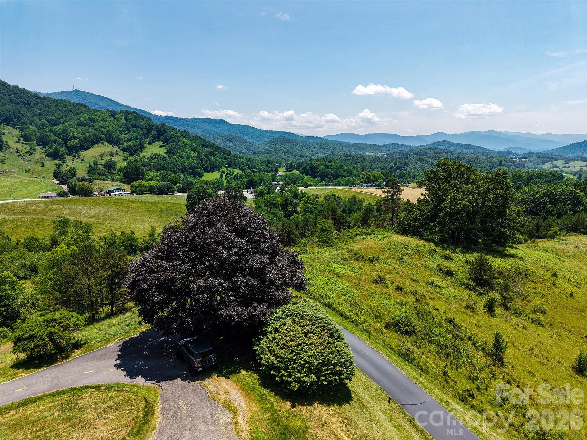 80 Gobblers Knob Drive Property Photo 19