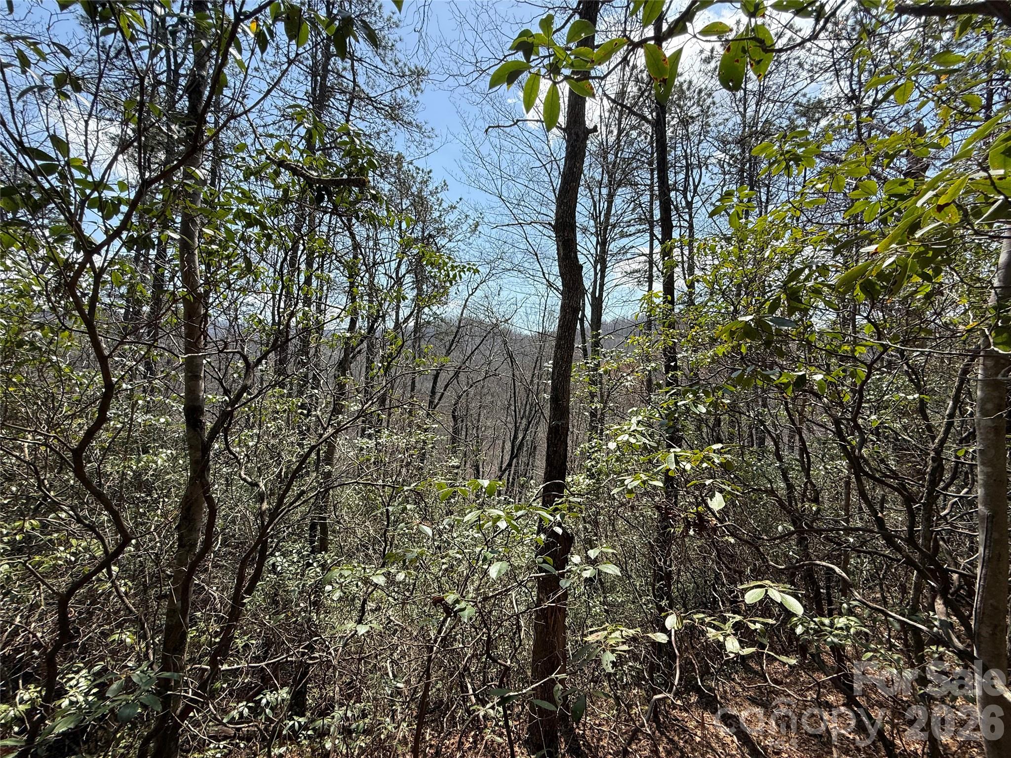 00 Line Runner Ridge Road Property Photo 1