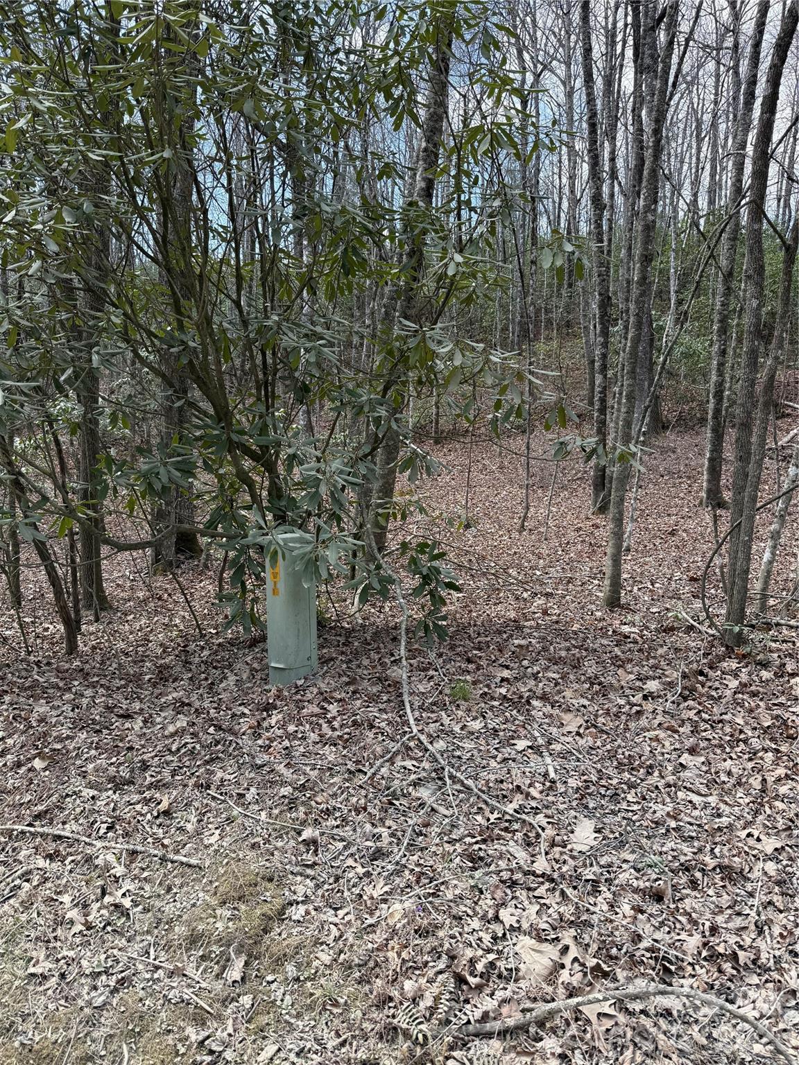 00 Line Runner Ridge Road Property Photo 13