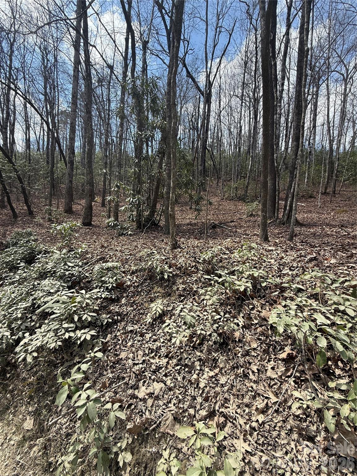 00 Line Runner Ridge Road Property Photo 14