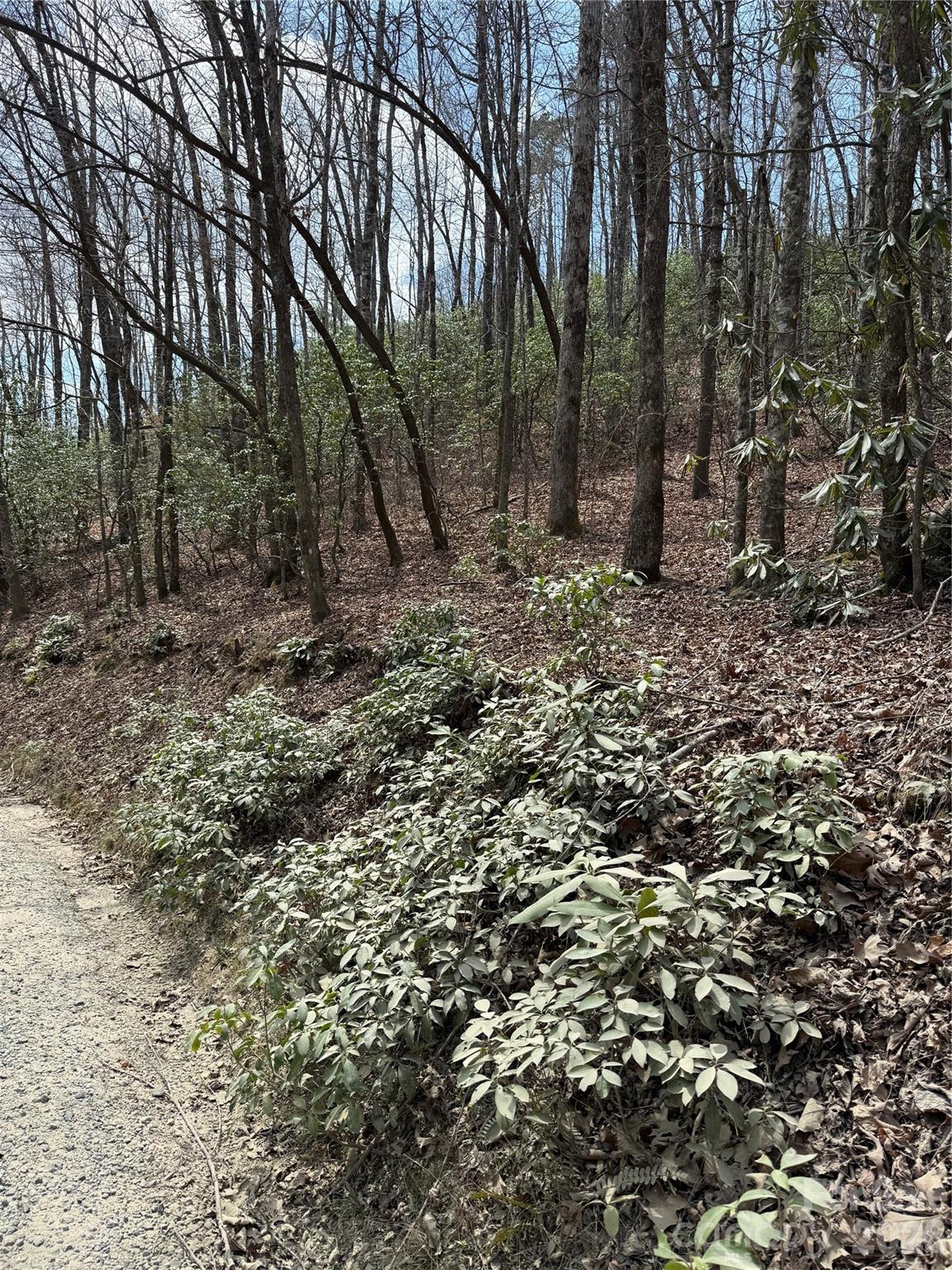 00 Line Runner Ridge Road Property Photo 15