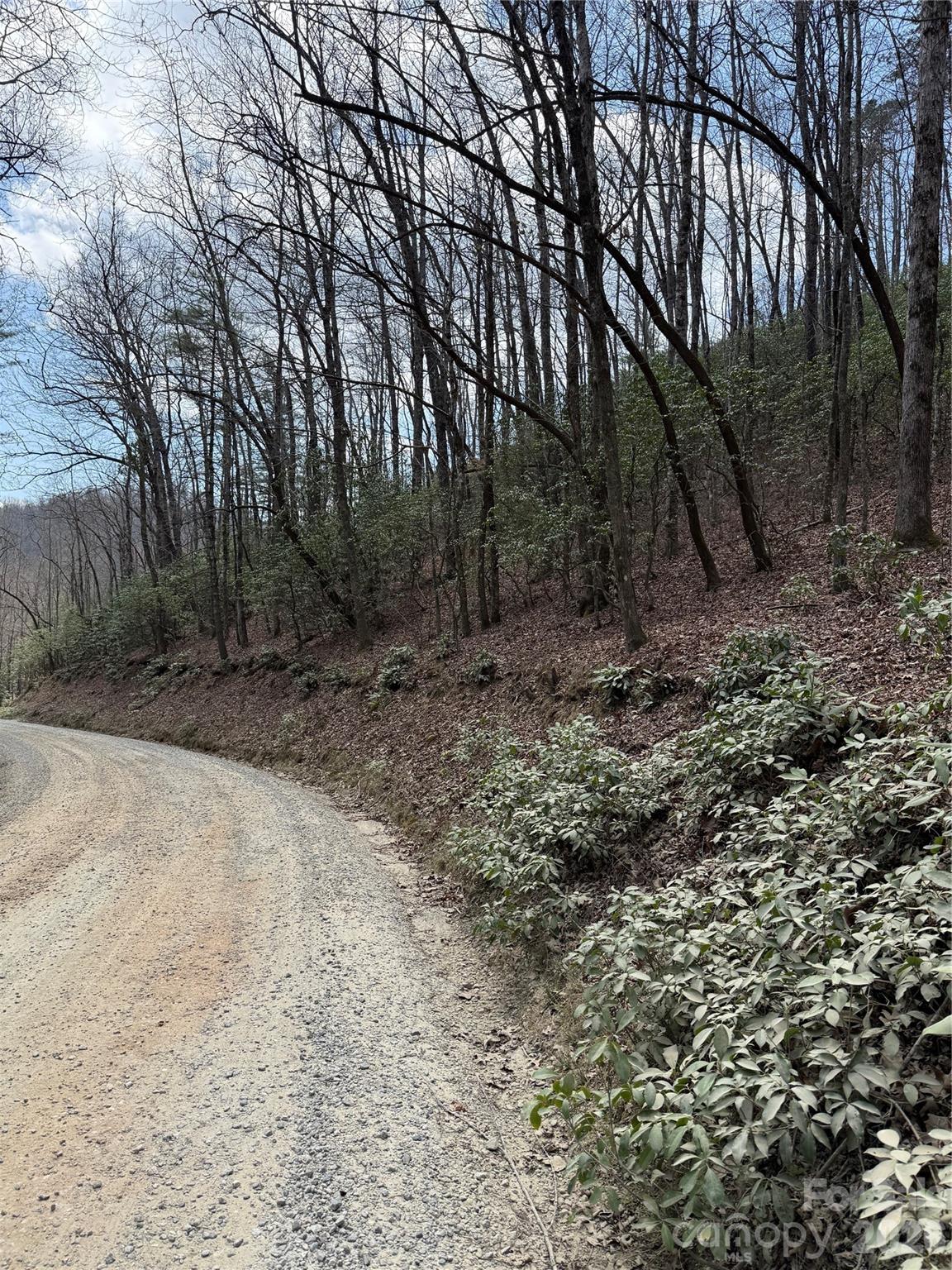 00 Line Runner Ridge Road Property Photo 16